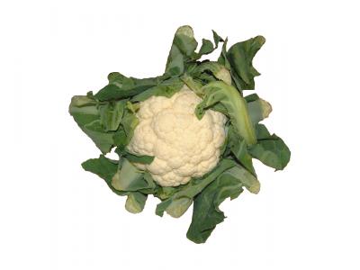 Blomkål Blomkål