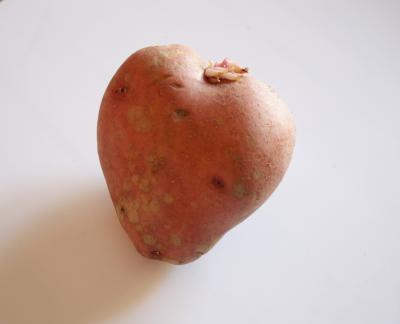Potatis Potatis