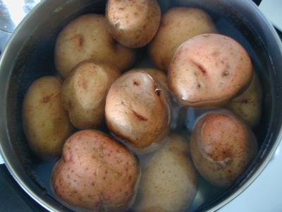 Potatis