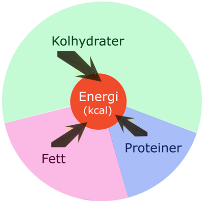 energicirkel