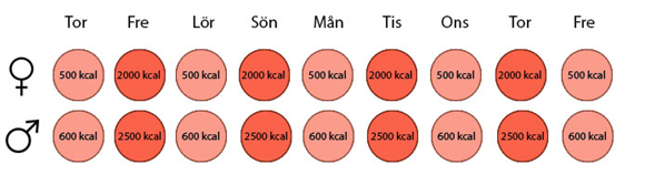 detox-diagram-varannandag.jpg