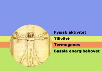 energiförbrukning_faktorer